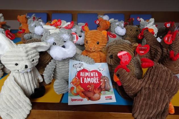 peluches