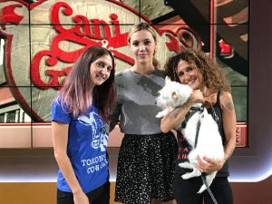 Iene Vegane