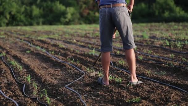 agricoltura