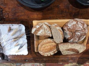 pane enzimatico bio
