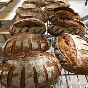 pane enzimatico bio