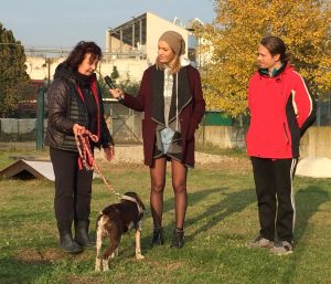 Canile Piacenza